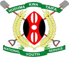 National Youth Service LMS